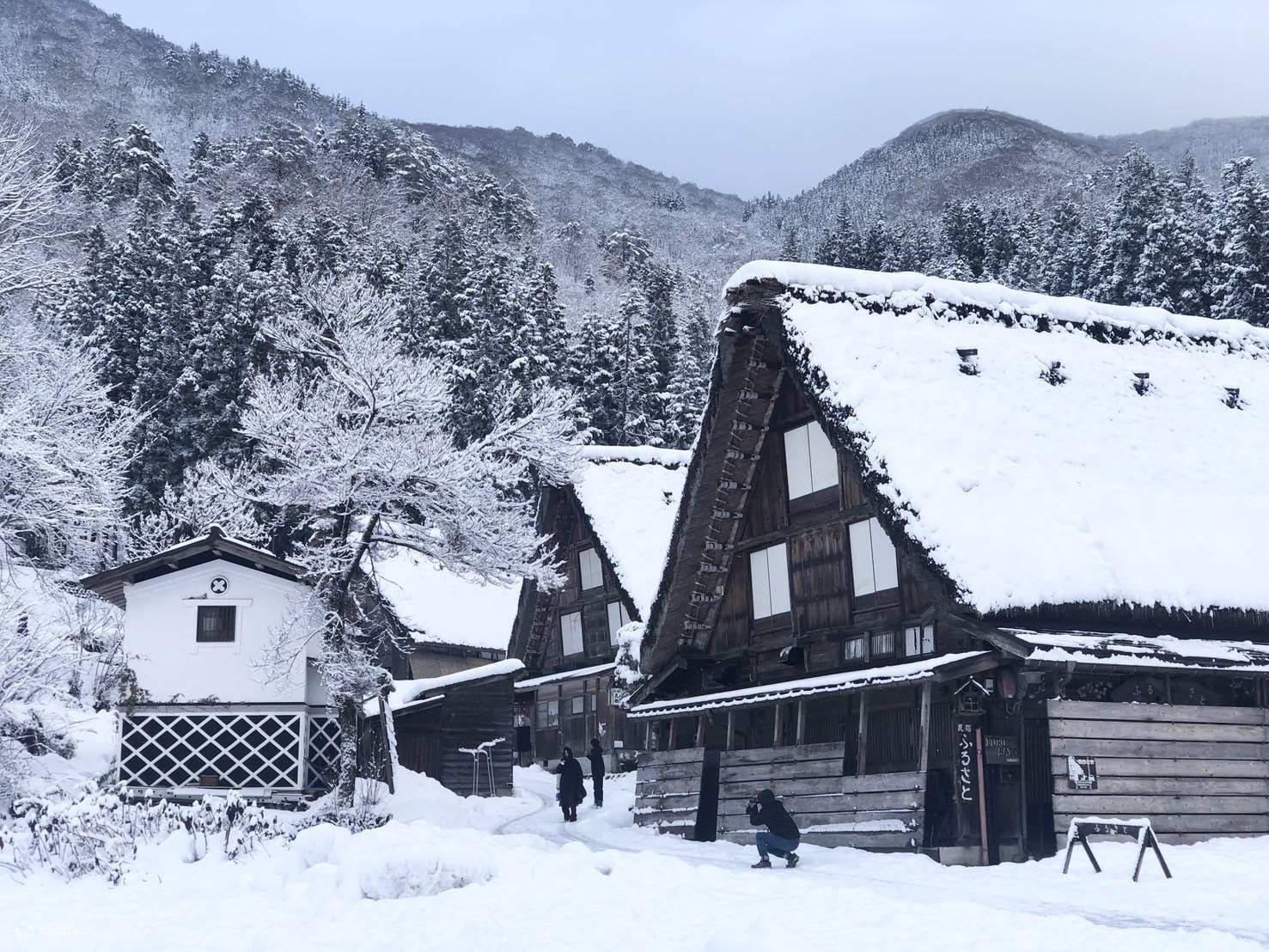飛騨高山 白川郷 日帰りバスツアー（昼食付/名古屋発） | Klook